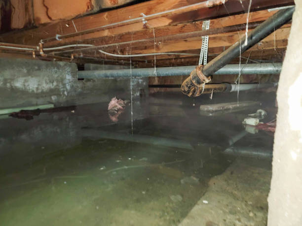 Pine Crest, TN Water damage restoration Company