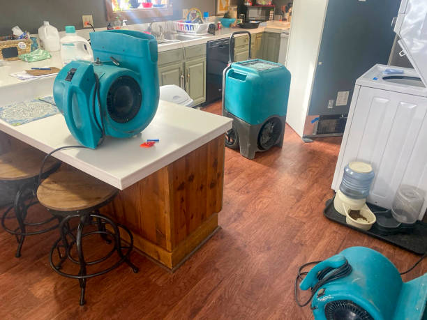 Best Water damage restoration experts  in Pine Crest, TN