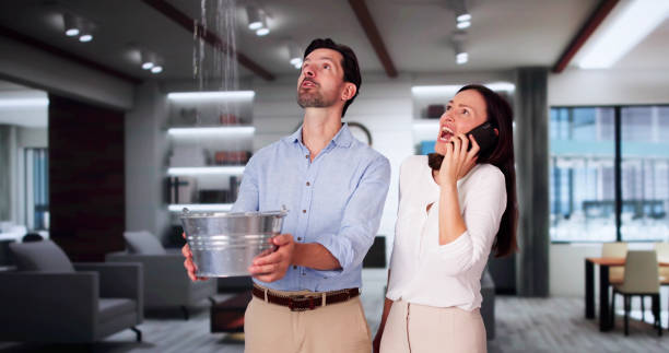 Best Water damage restoration services  in Pine Crest, TN