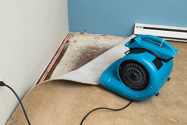 Best Water damage restoration near me  in Pine Crest, TN